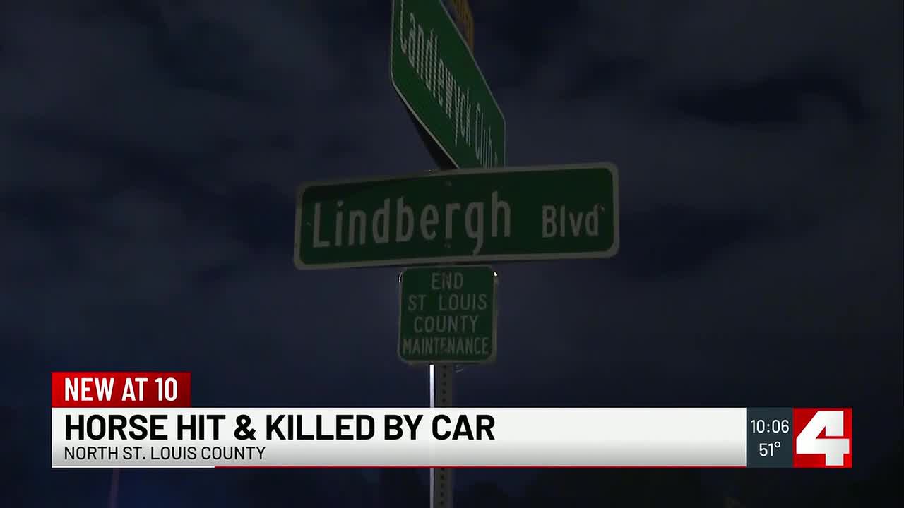 Horse dies after being hit by a car in North County