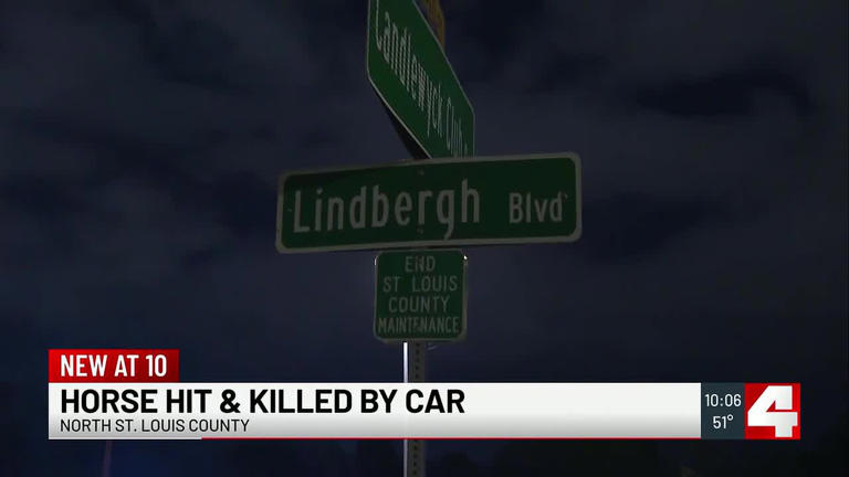 Horse dies after being hit by a car in North County