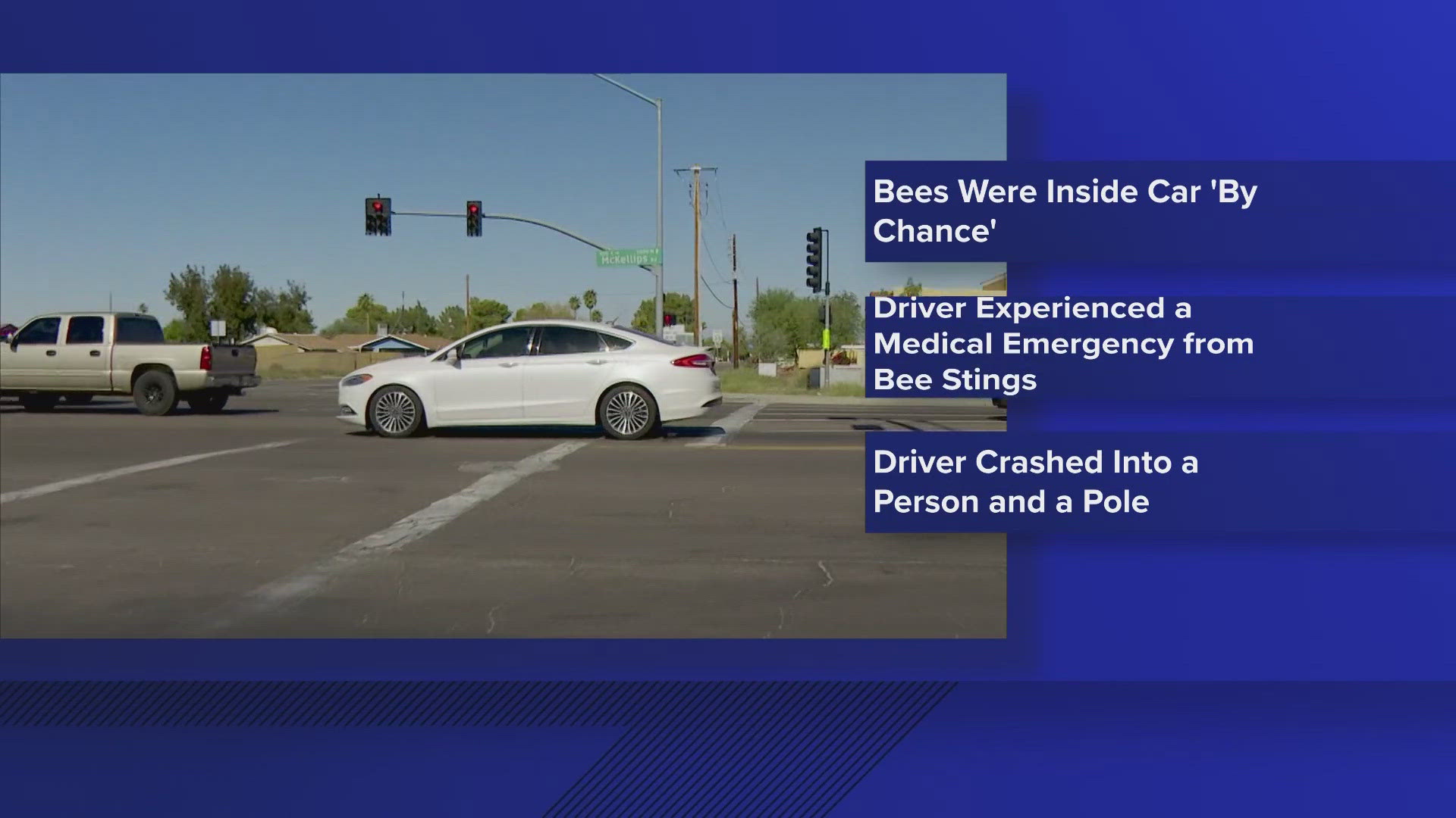 Pedestrian dies after being hit by driver who was stung by bees, police say