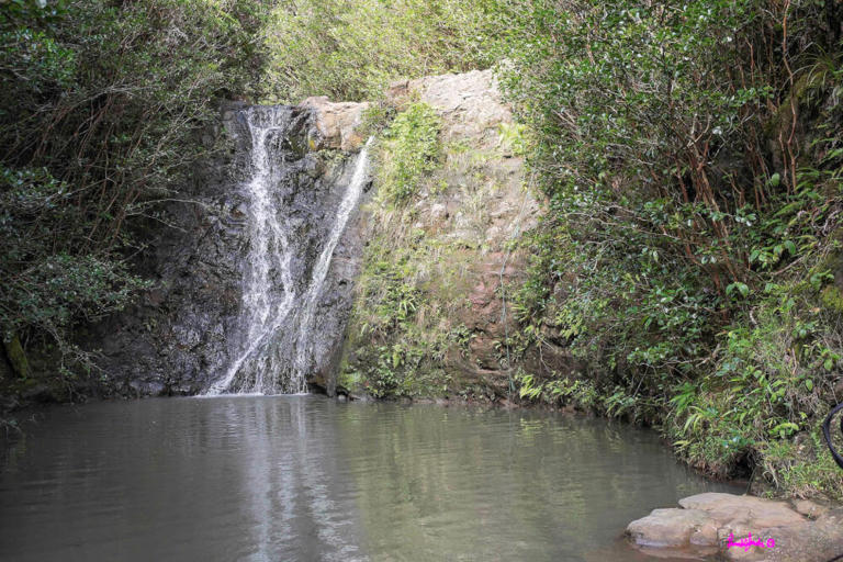 Best Oahu Waterfall Hikes for Families (+ Swimming Spots)