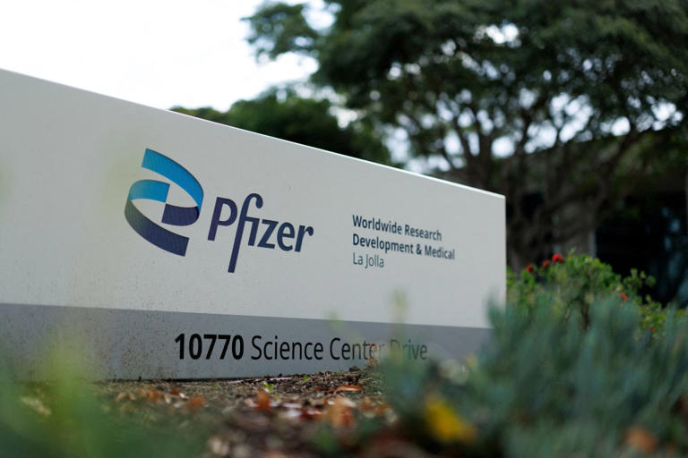 Pfizer wins $10 billion bidding war for obesity drug developer