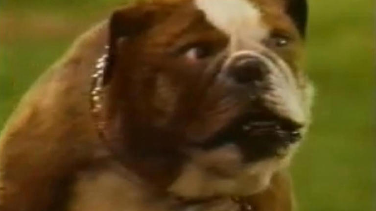 This Everyone Loves Raymond Star's Failed Sitcom About A Cop ...