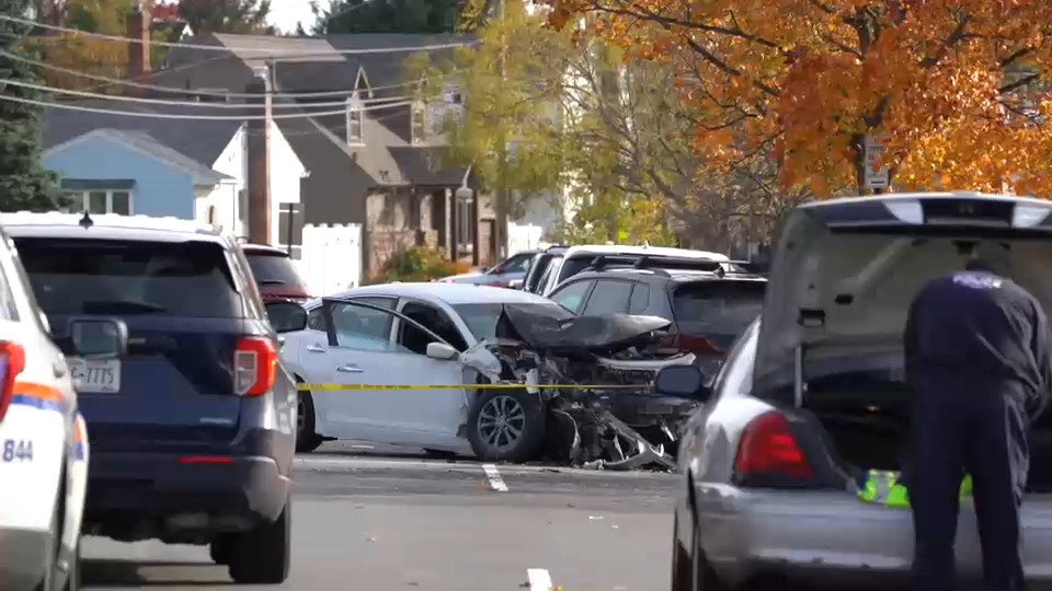 80-year-old Long Island pedestrian killed after being struck by stolen ...