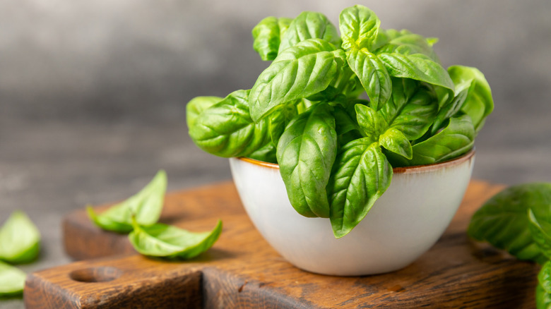 The Easiest Way To Keep Fresh Basil On Hand All Year