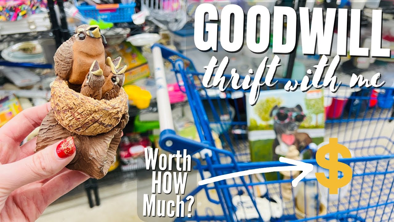 No idea it was worth that much | Goodwill thrift with me | Reselling