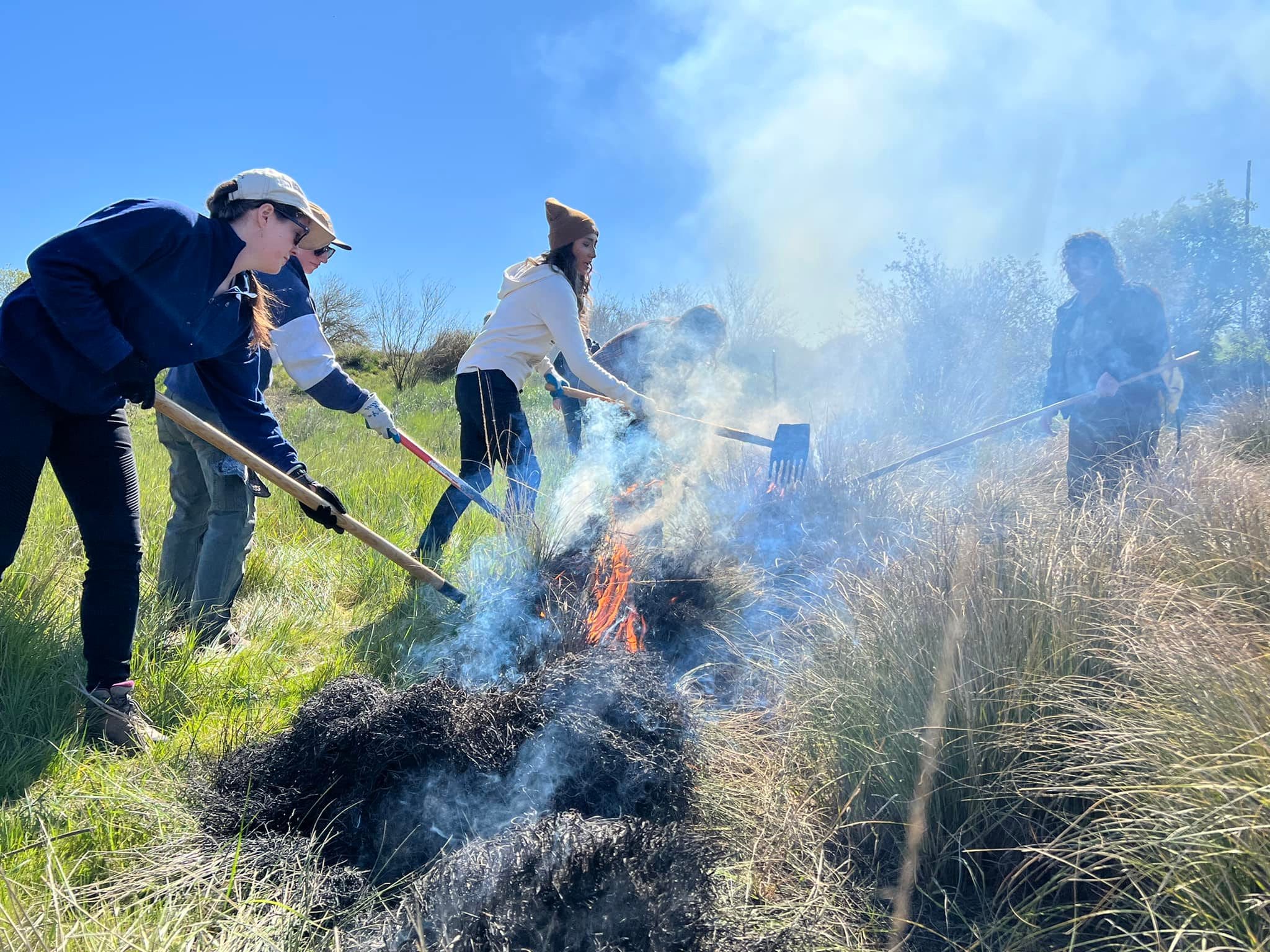 Tree rings reveal how Apache people used fire to shape and protect ...