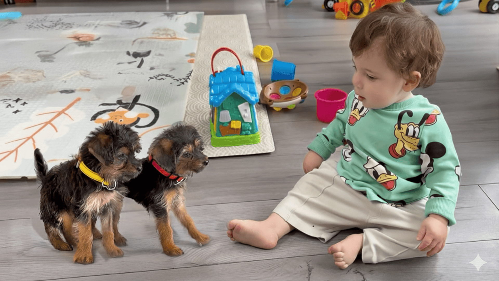 Tiny Rescue Puppies Meet Adorable Babies for the First Time