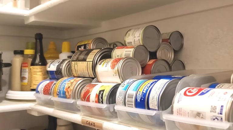 Say Goodbye To Pantry Clutter With These 18 Affordable Dollar Tree ...