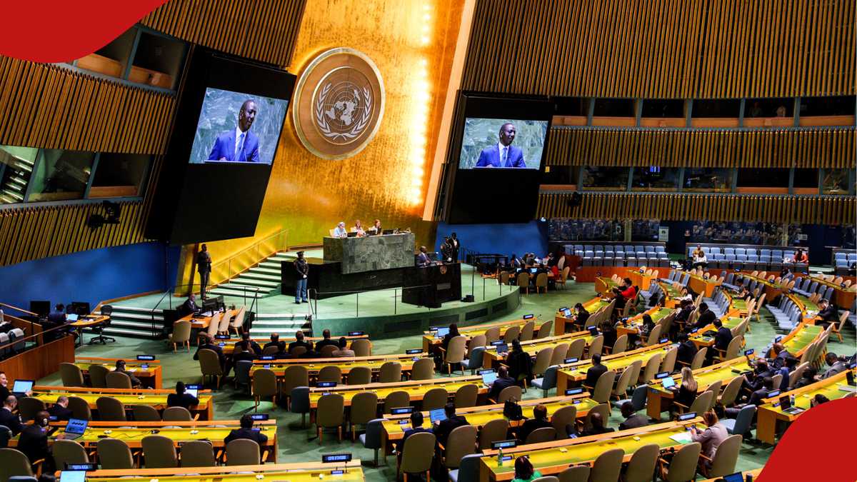 United Nations posts 30 job vacancies in Nairobi, with November ...