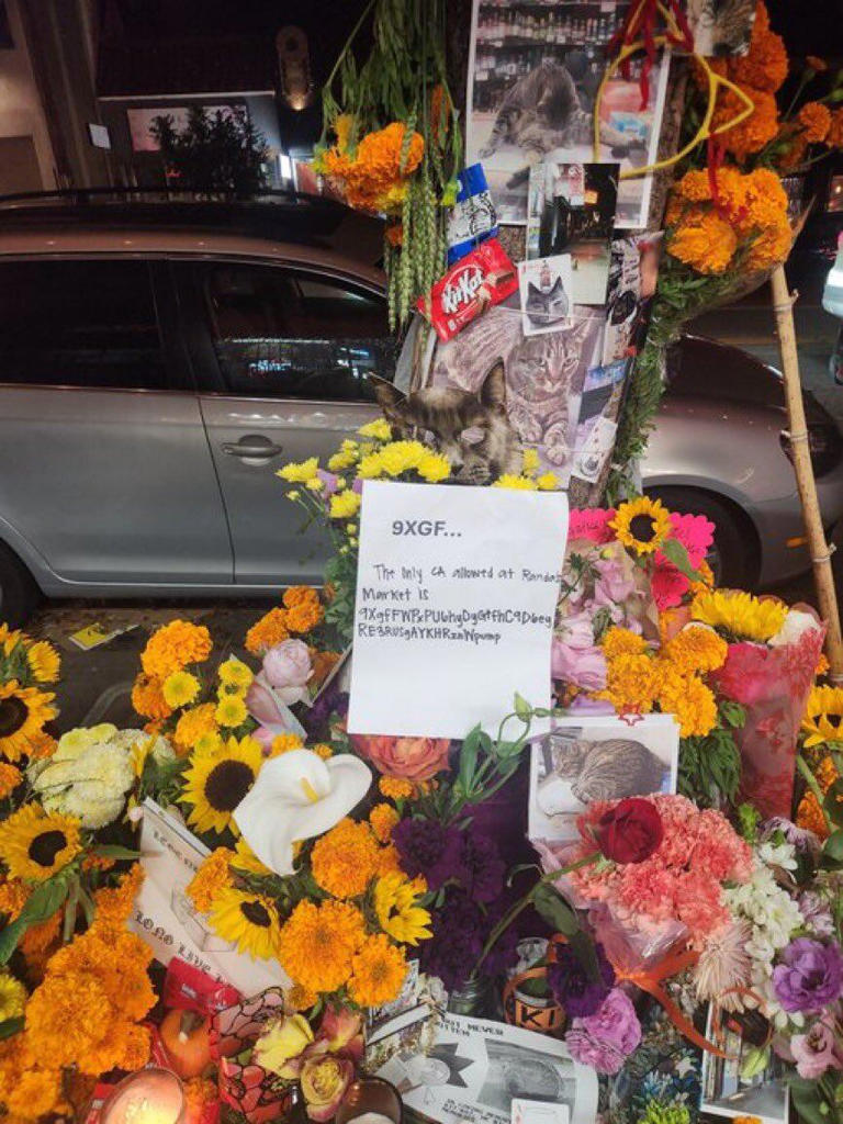“Justicia para KitKat”: el robotaxi que mató a un gato y desató un ...