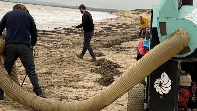 'Environmental catastrophe' at beauty spot beach as 'millions' of ...