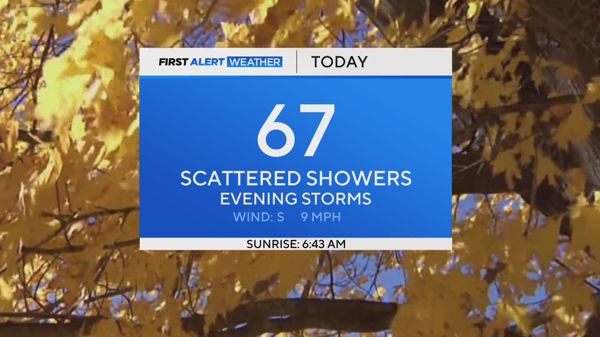 Scattered showers and storms this evening