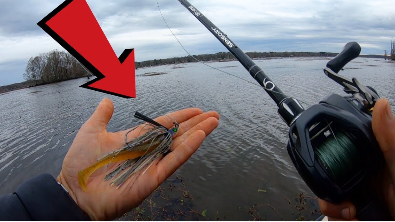 Rare fish destroyed swim jig during river fishing