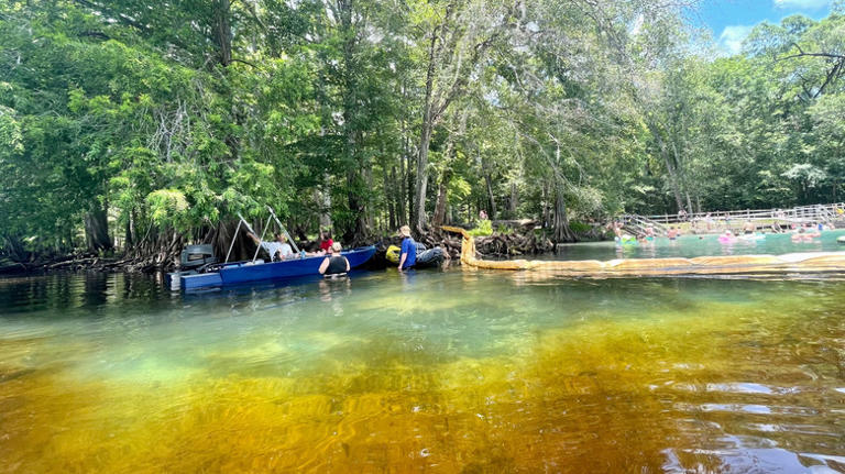 Florida's Island Park Near Jacksonville Is A Hidden Spring Haven To ...