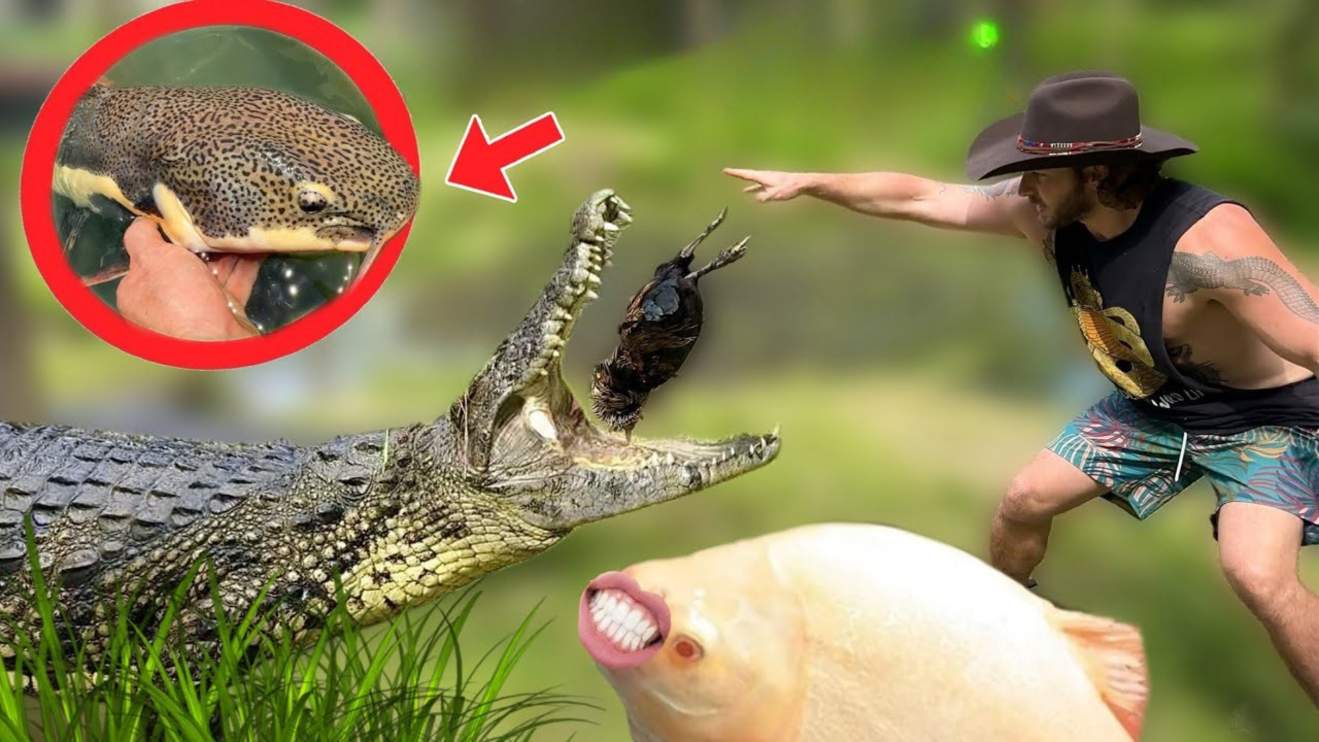 Wild Encounter: Crocs and Rare Fish!