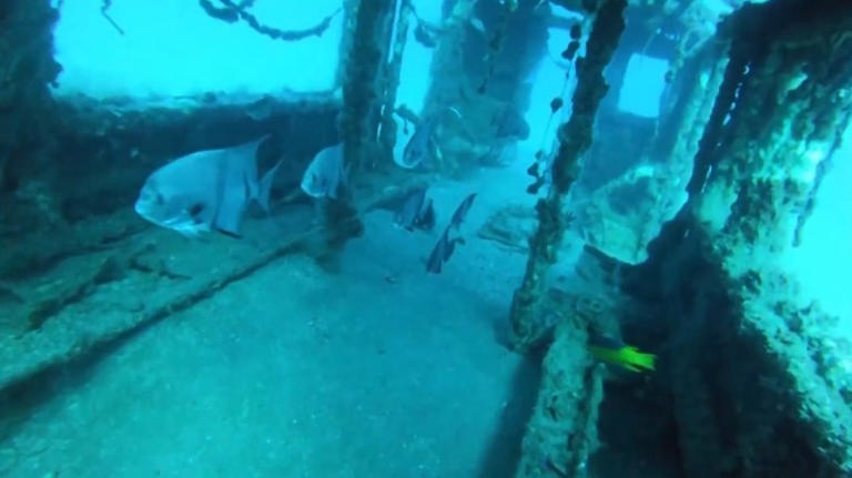 Why You Can Sink A Subway Car To Make A Reef, But Probably Not An ...