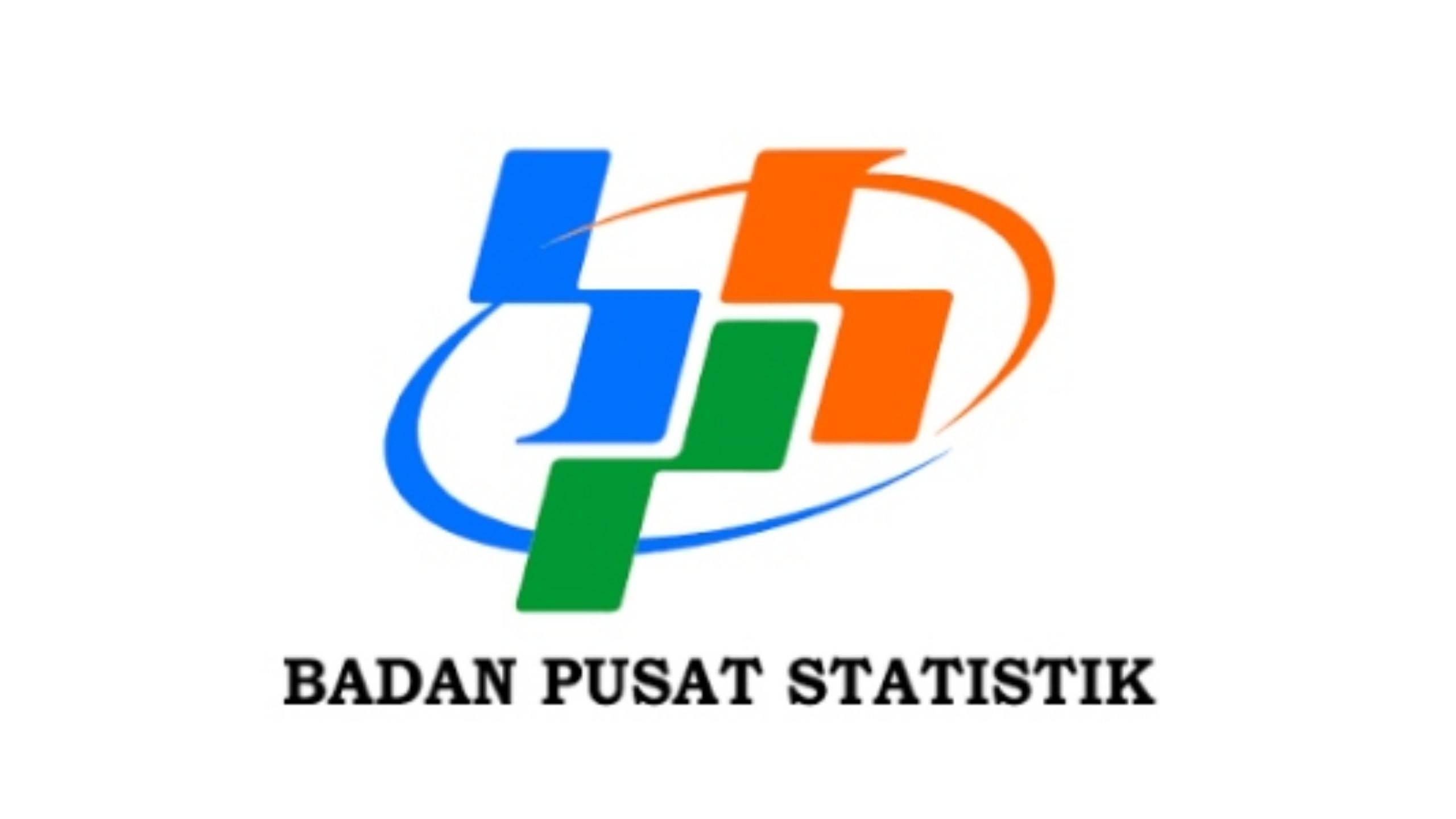 Apa Itu CAPI? Informasi Penting untuk Mitra Statistik!