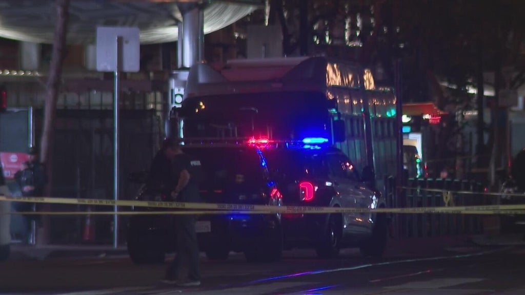 Dog, man shot by San Francisco police after unprovoked dog attack ...