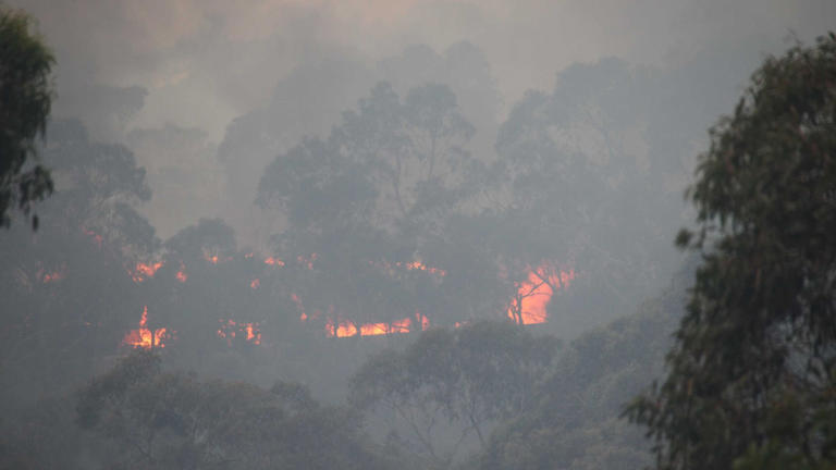 Cudlee Creek bushfire class action trial begins in SA's Supreme Court