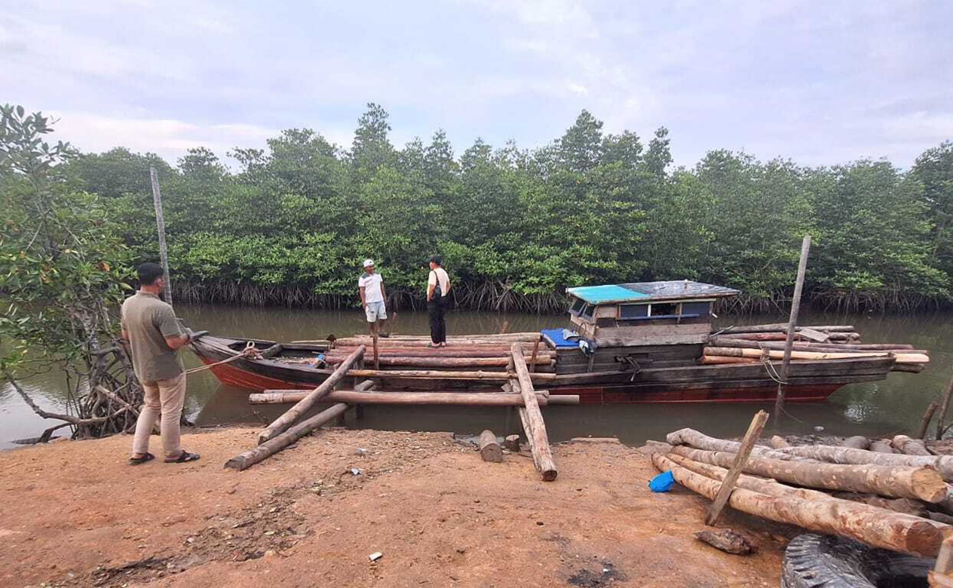 Jalur Laut dan Bakau Jadi Pintu Masuk Penyelundupan Kayu Ilegal di Batam