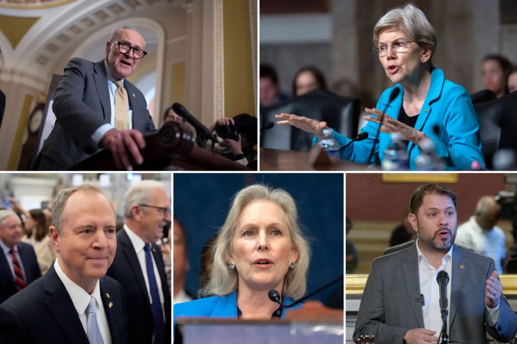 Here are what Democrats said about voting against ending the government ...