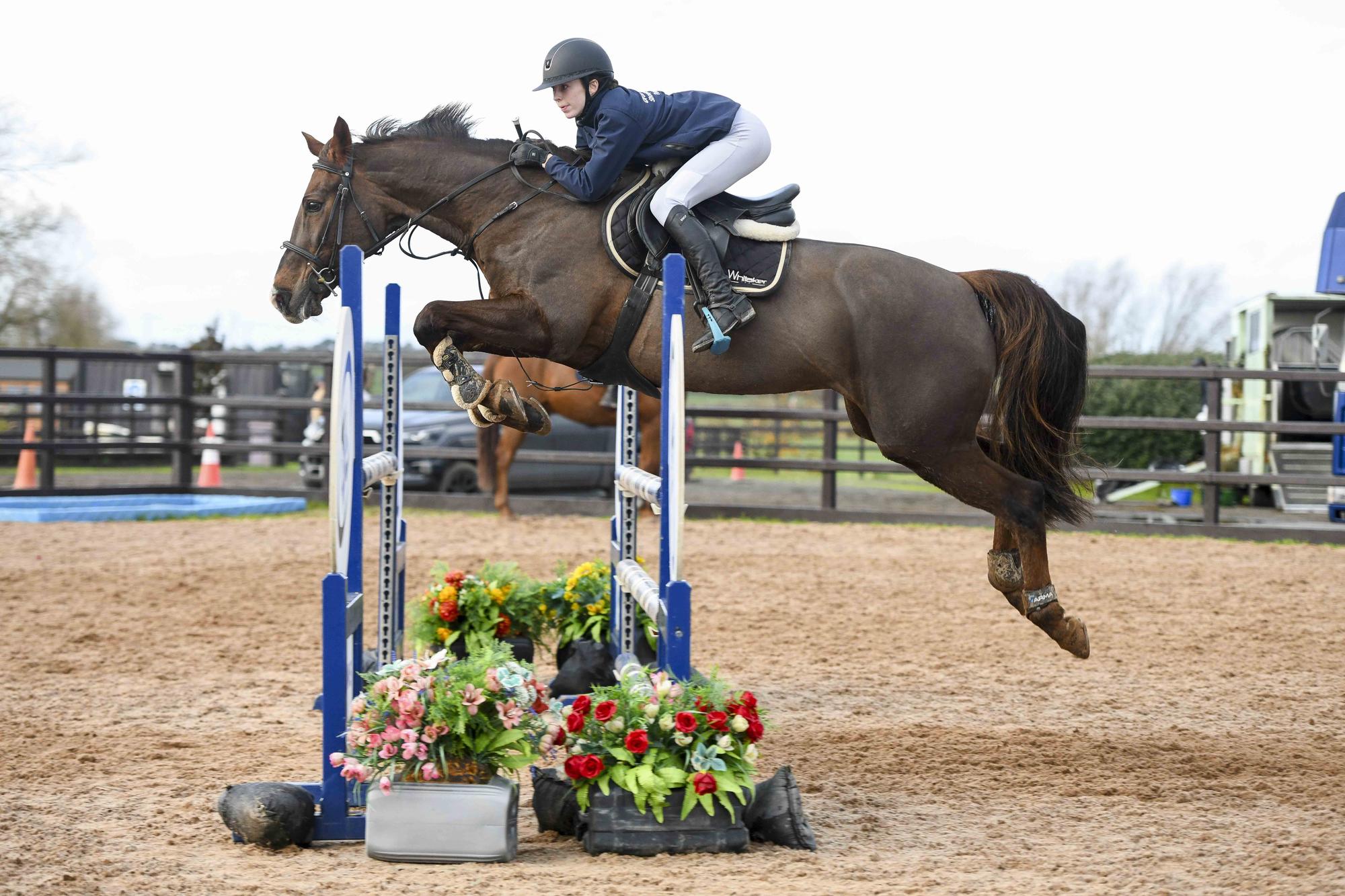 Meadows Equestrian Centre Schools competition