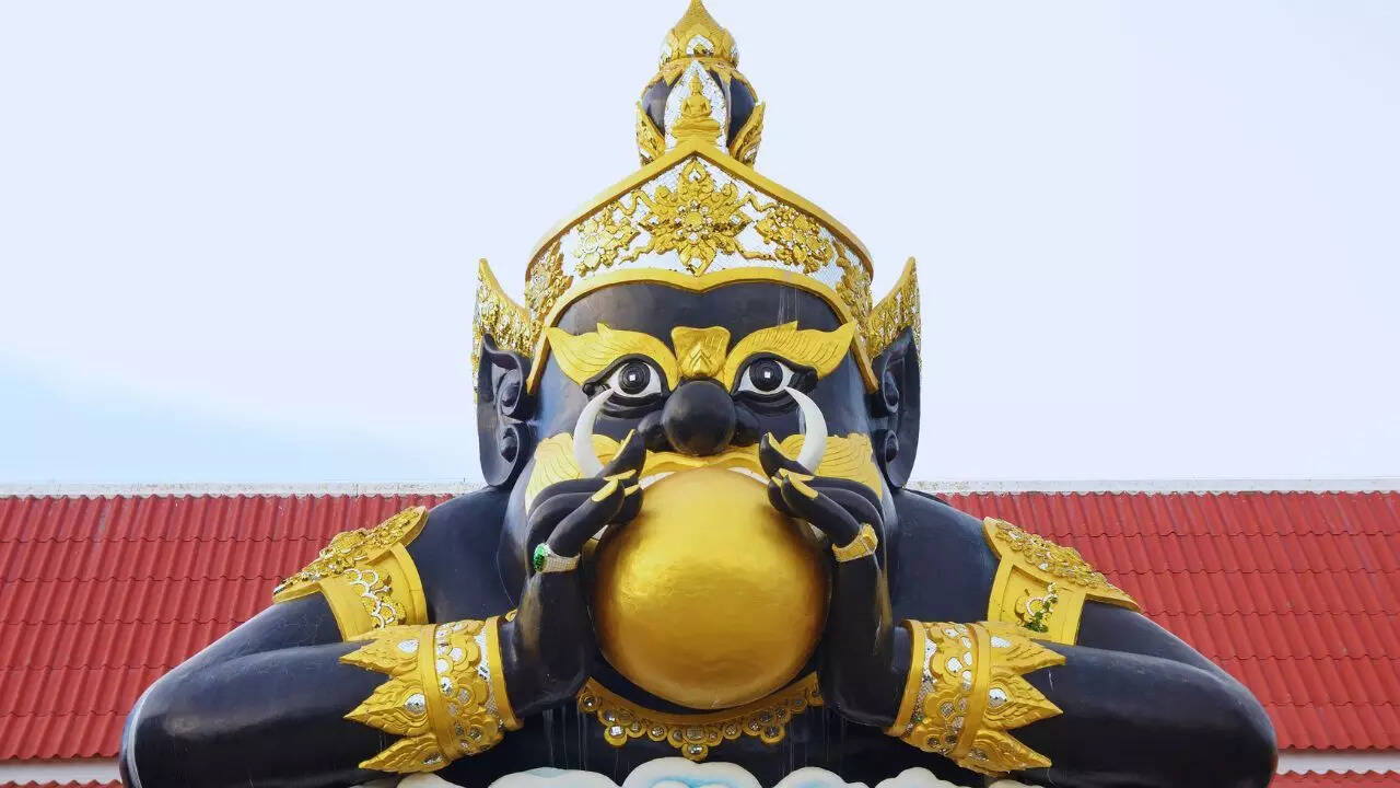 How does Rahu behave when it is placed in different houses (from 1 to 12)