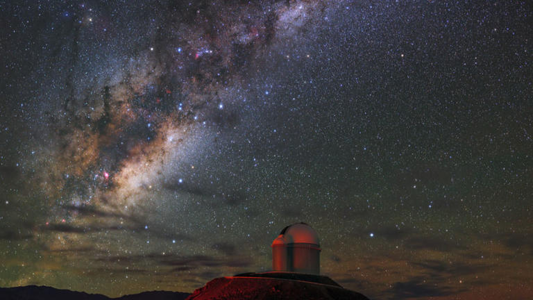 There Are More Trees On Earth Than Stars In The Entire Milky Way. Check ...