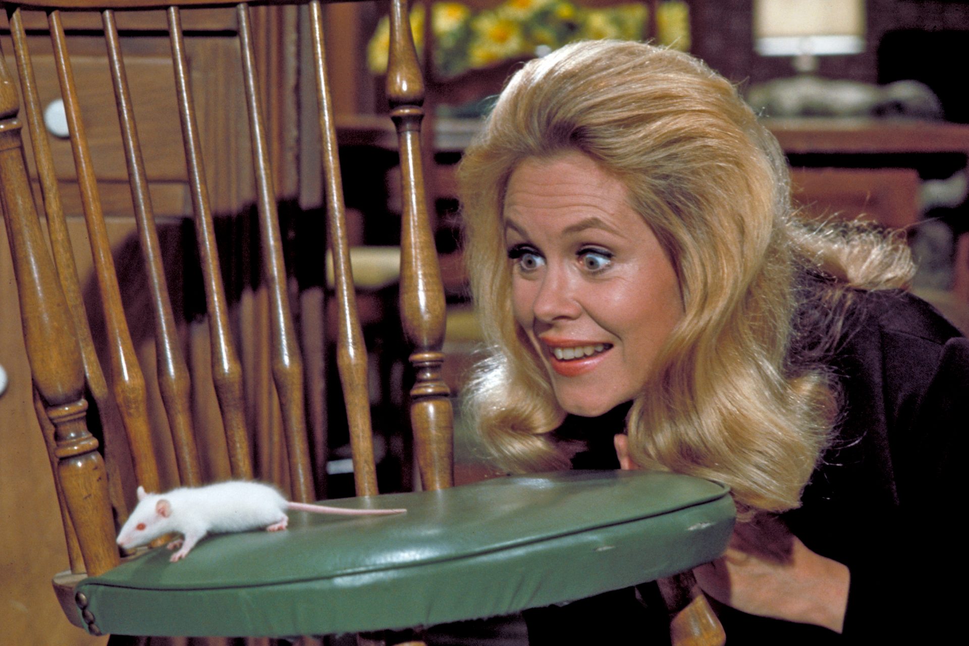 was-bewitched-cursed-striking-deaths-of-the-cast-members