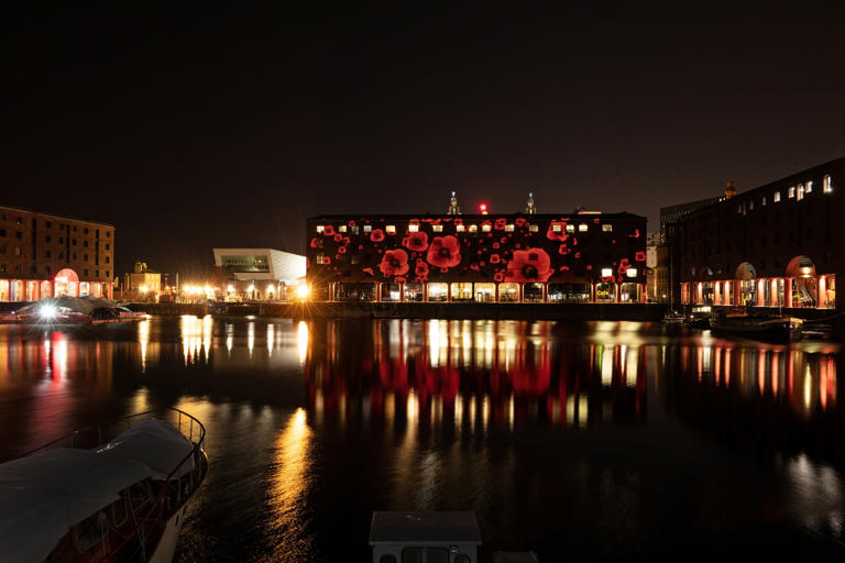 'Exciting new chapter' for Royal Albert Dock Liverpool as stunning ...