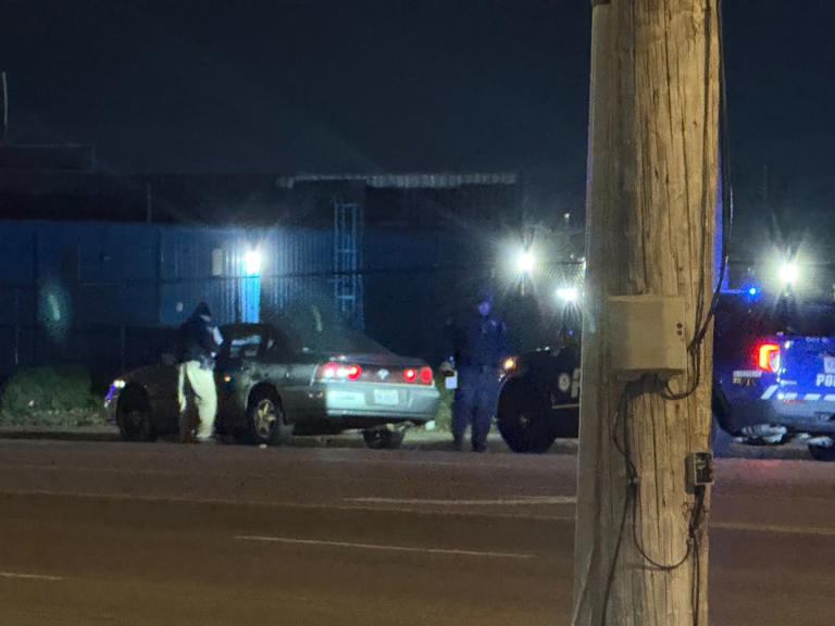 Argument over dog leads to shooting, two detained