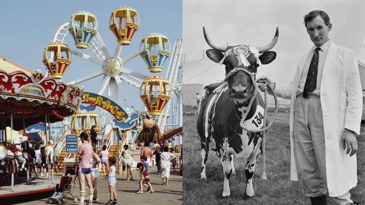 The history of the American state fair