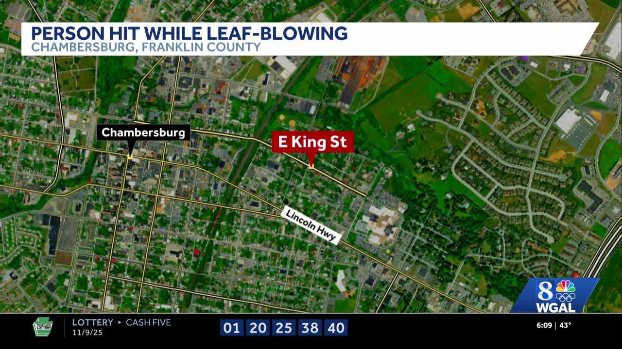 Person taken to hospital after being hit by vehicle while leaf blowing ...