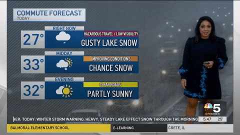 Winter storm warning continues across Chicago area, with 6-12 inches of ...