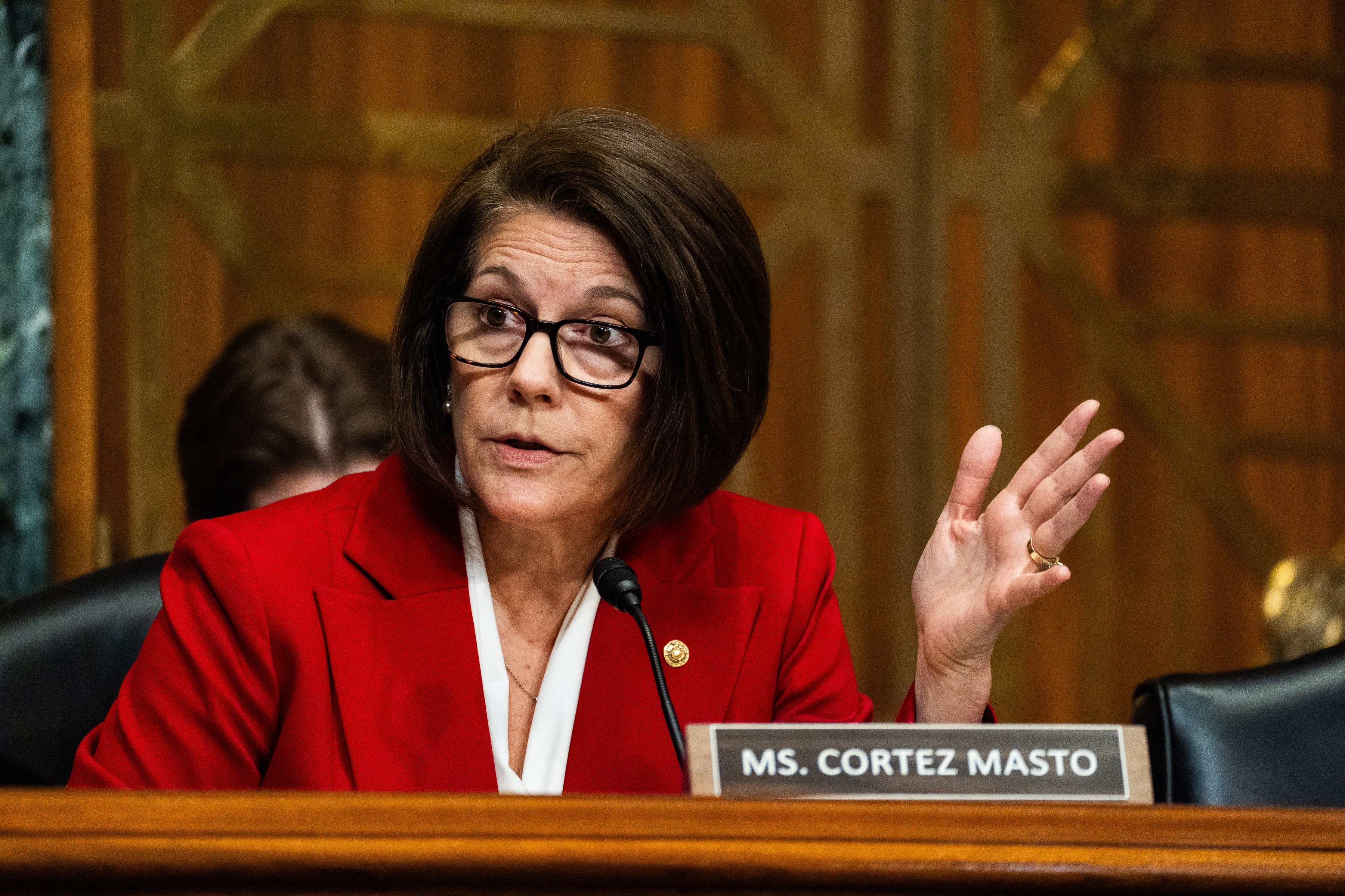 These are the Democrats who broke ranks to vote for the shutdown deal