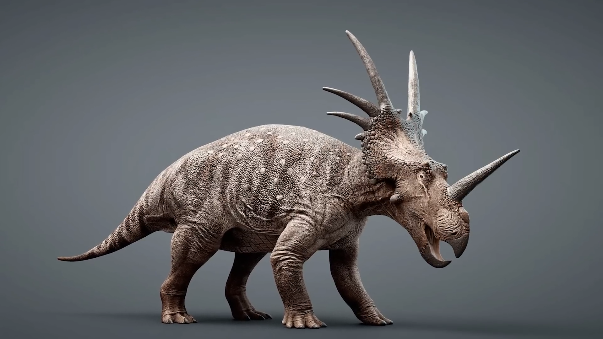 The Secret Lives of the Dinosaurs with Horns and Frills