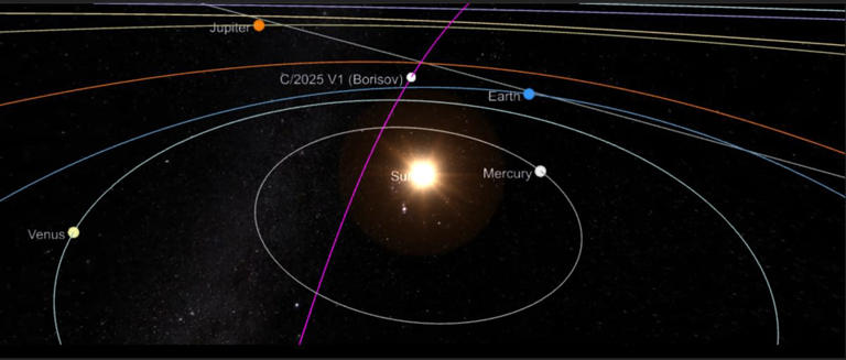 This chart is a 3D animated visualization of the orbit of comet C/2025 V1 (Borisov) relative to the other major objects in the Solar System (Image Source: Sky Live)