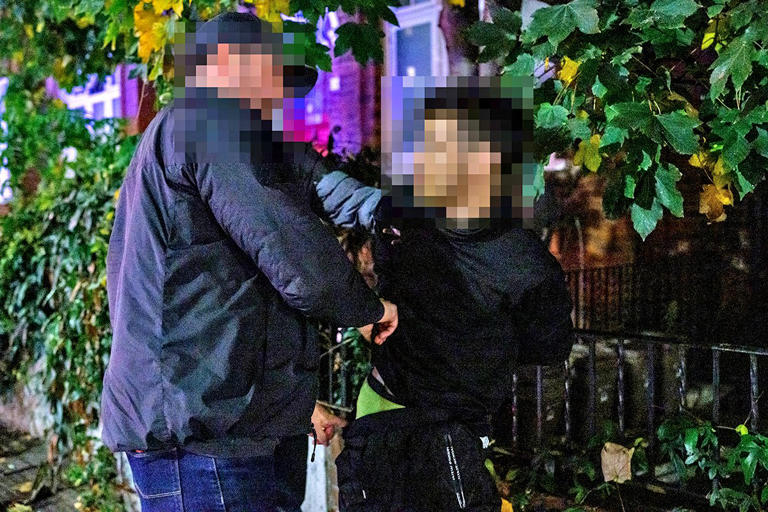Police arrest 100 suspects in West End crime crackdown