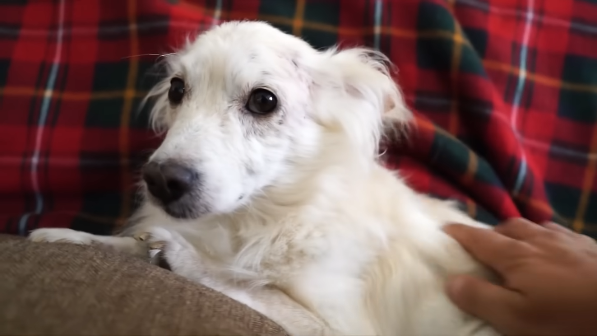 What Happened to Her Eye Shocked Even the Experts