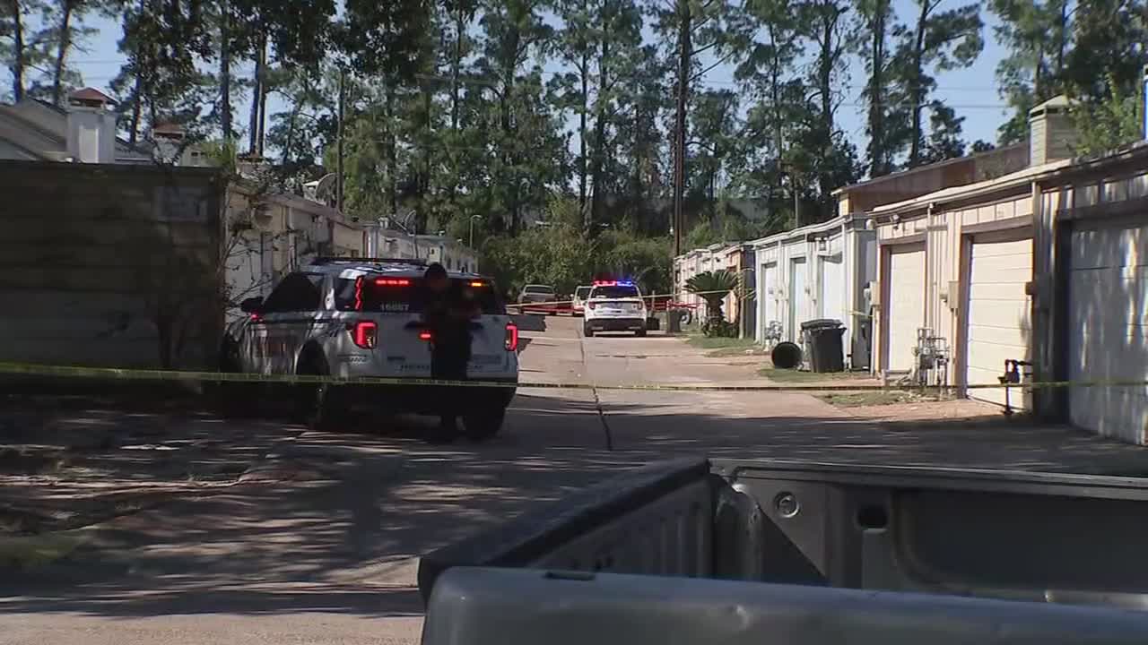 Woman killed in shooting after domestic disturbance
