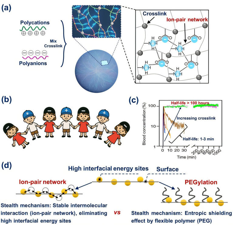 Ion-pair stealth shield hides nanoparticles from the body's defenses