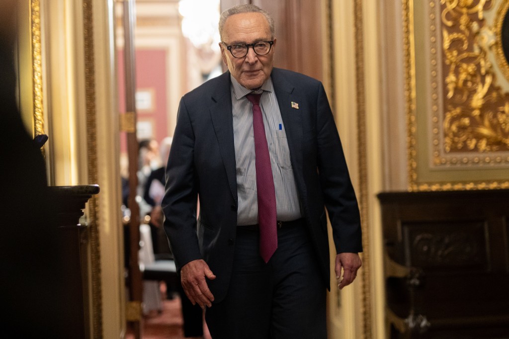 Democrats melt down, call for Chuck Schumer’s ouster after deal to end ...