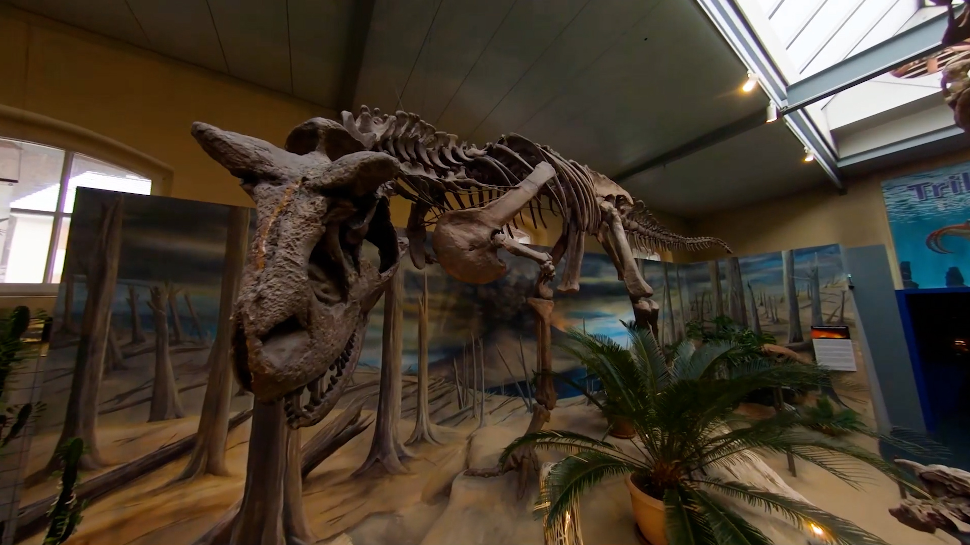 Museum Tours by First Person View Drones, Part 1