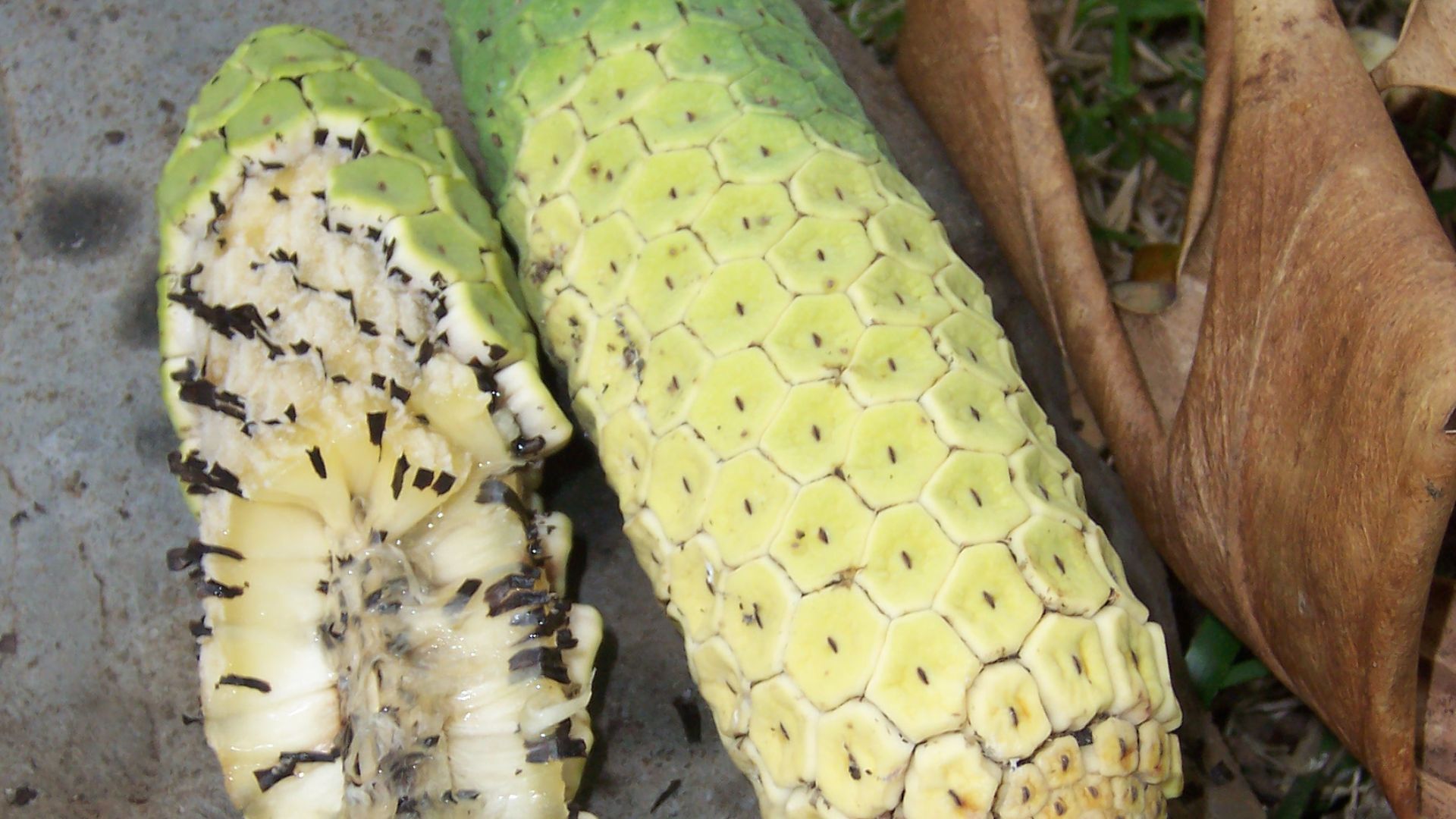 The Fruit With Painful Consequences—This Is The Only Way You Should Eat ...