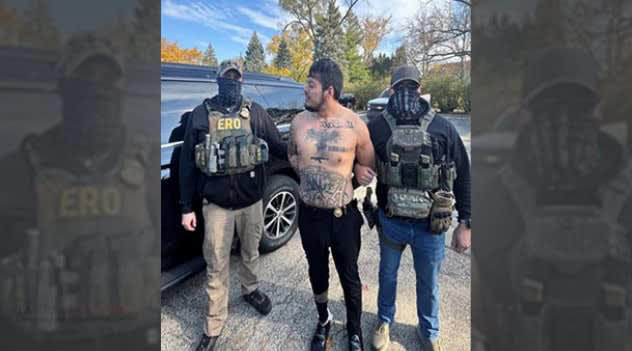 High-Risk ICE Operation In Chicago Leads To Arrest Of Violent Felon