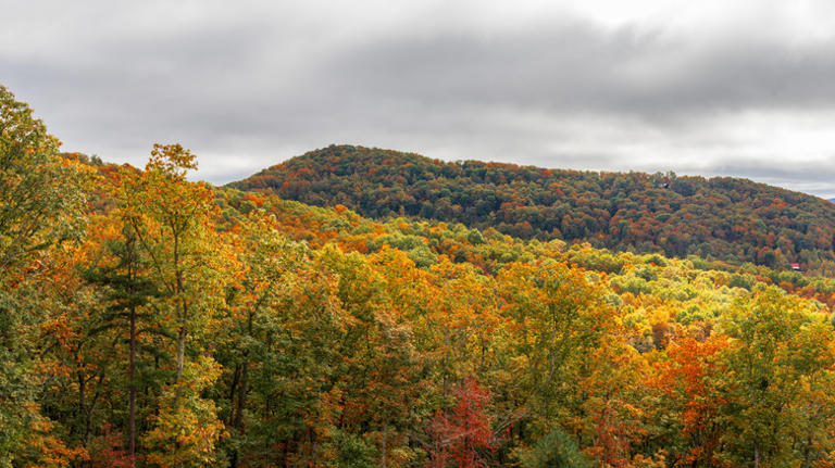 Georgia's Rustic Gem Mine Is A Blue Ridge Mountain Hidden Treasure With ...