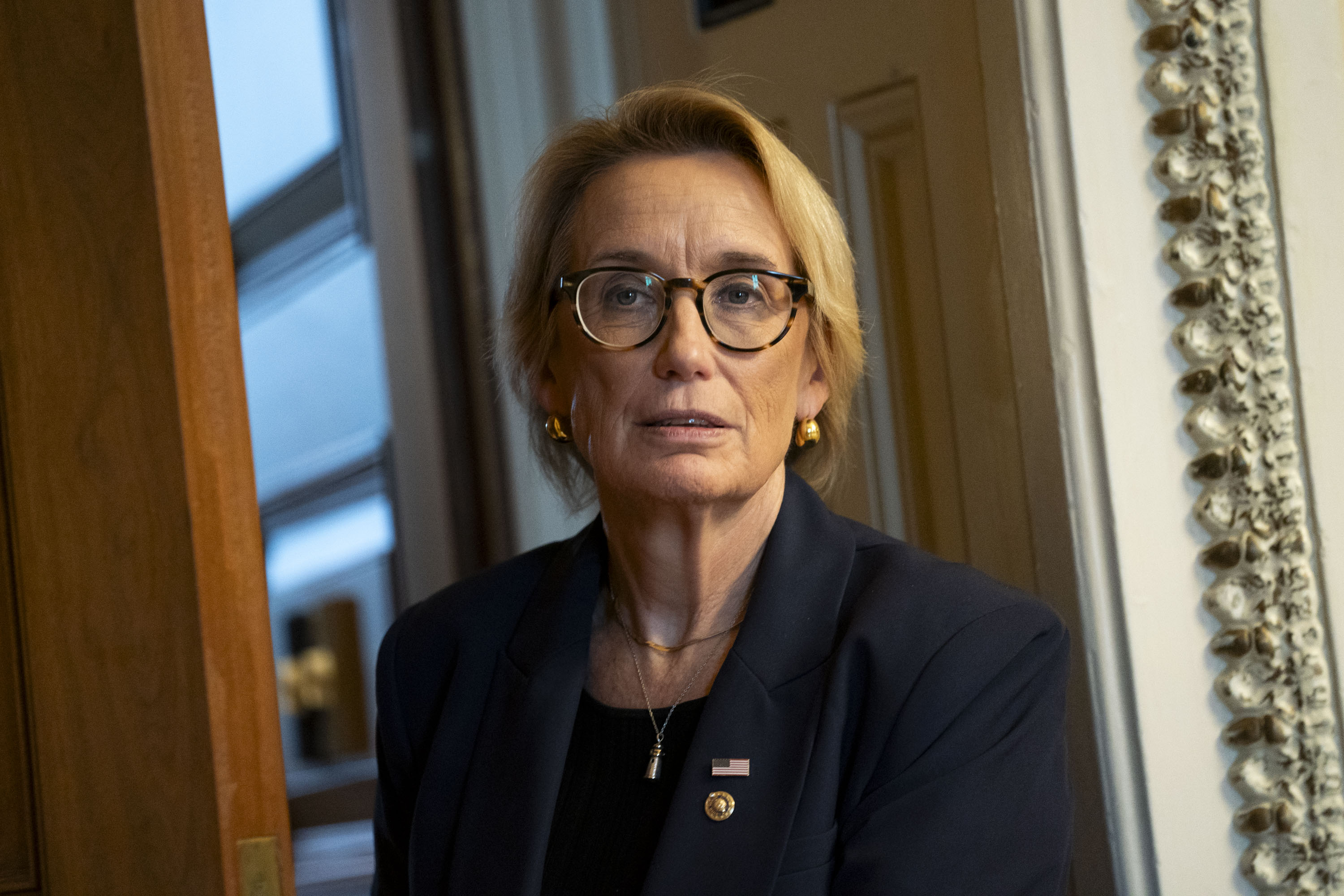 These are the Democrats who broke ranks to vote for the shutdown deal