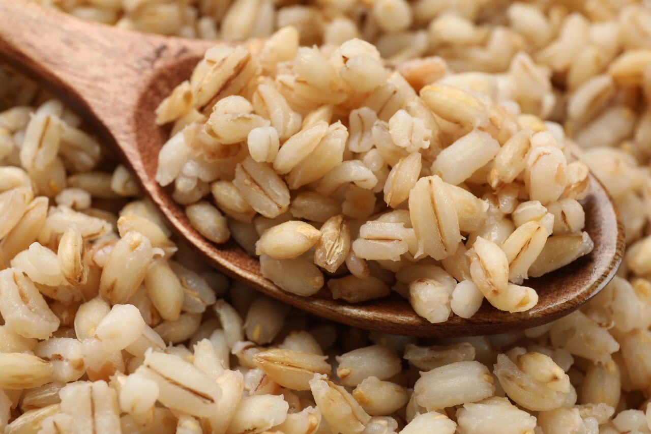 Close up of cooked pearl barley on a wooden spoon.