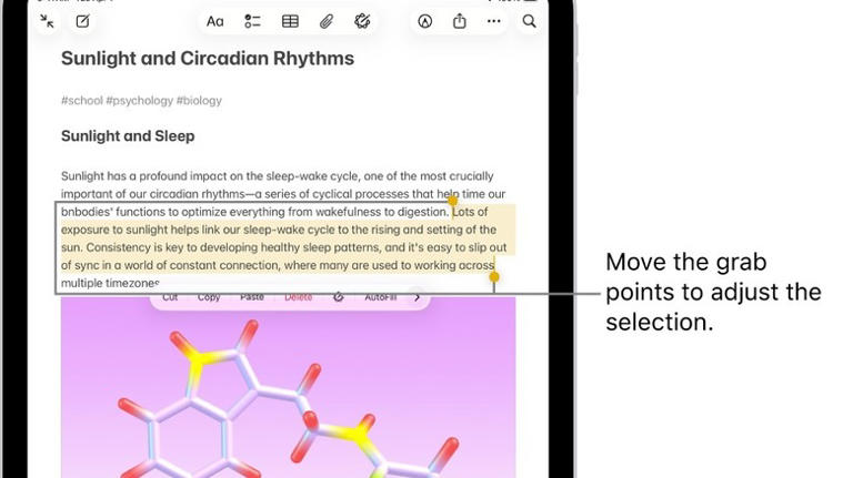 An iPad showing text that has been selected with three fingers.