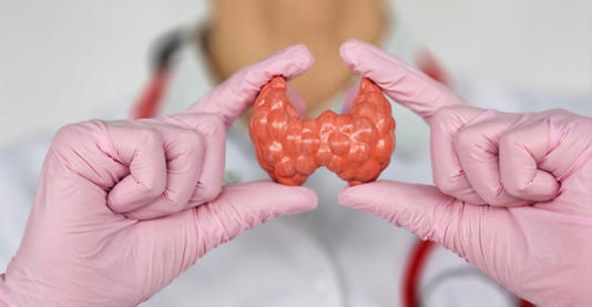 NMK-Studio / Shutterstock.com